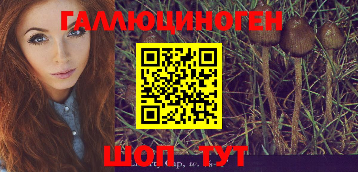 Галлюциногенные грибы мухоморы Киселёвск