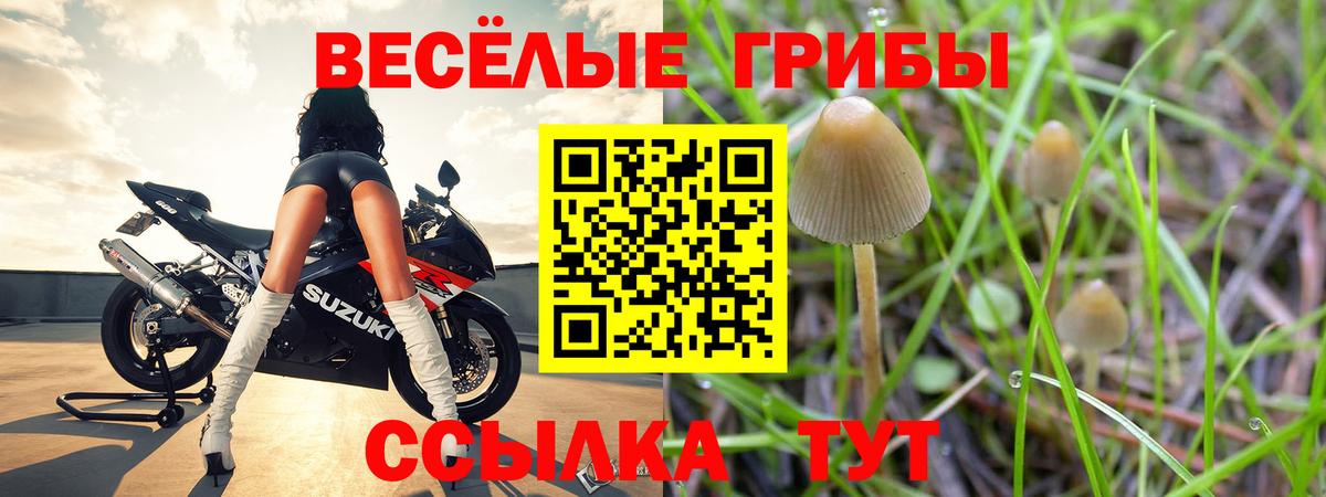 Галлюциногенные грибы Psilocybine cubensis  Псилоцибиновые грибы Psilocybe  Вход с VPN  Киселёвск 